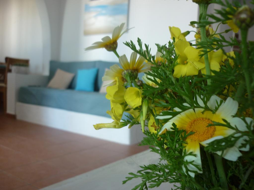 Villa Aelia Santorini Vóthon Kamer foto